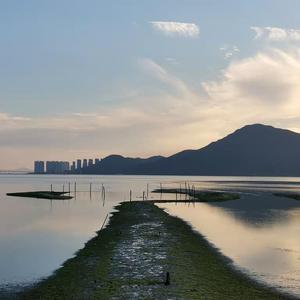 男模自慰㖔精1069
